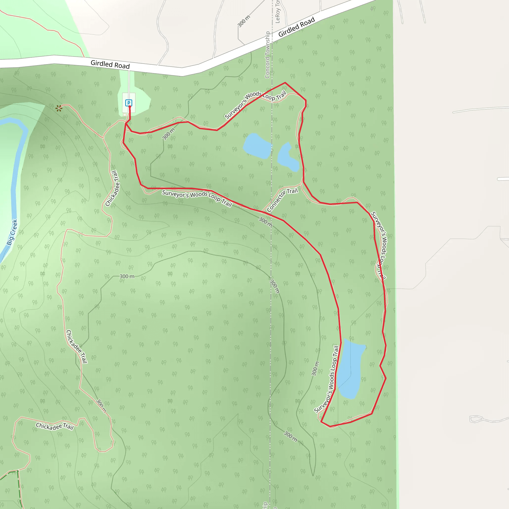 Surveyor's Woods Loop Trail mobile static map