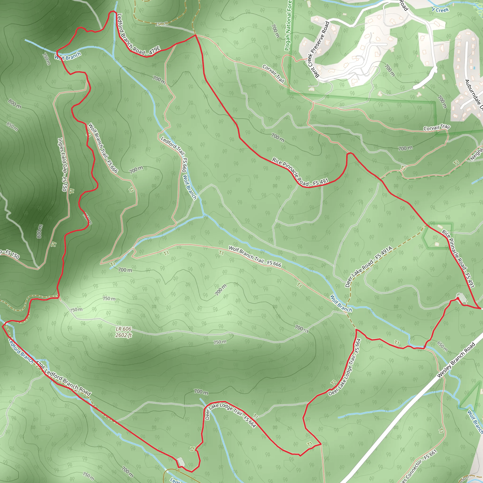 Rice Pinnacle and Ledford Branch Road Loop mobile static map