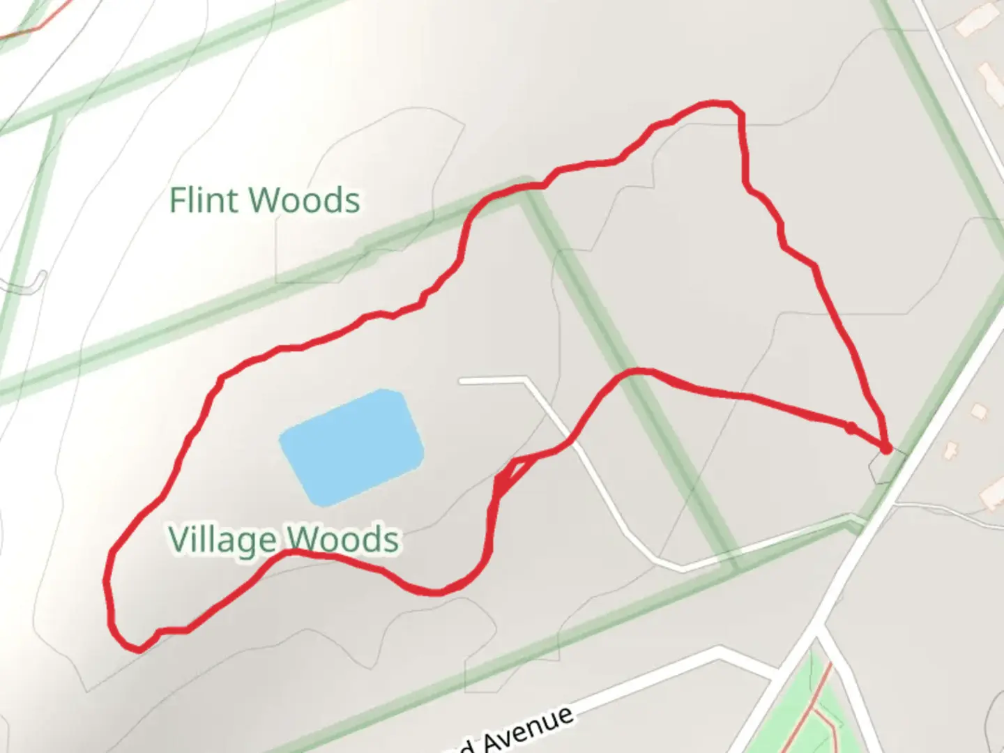 An image depicting the trail Flint Woods Loop and its surrounding area.
