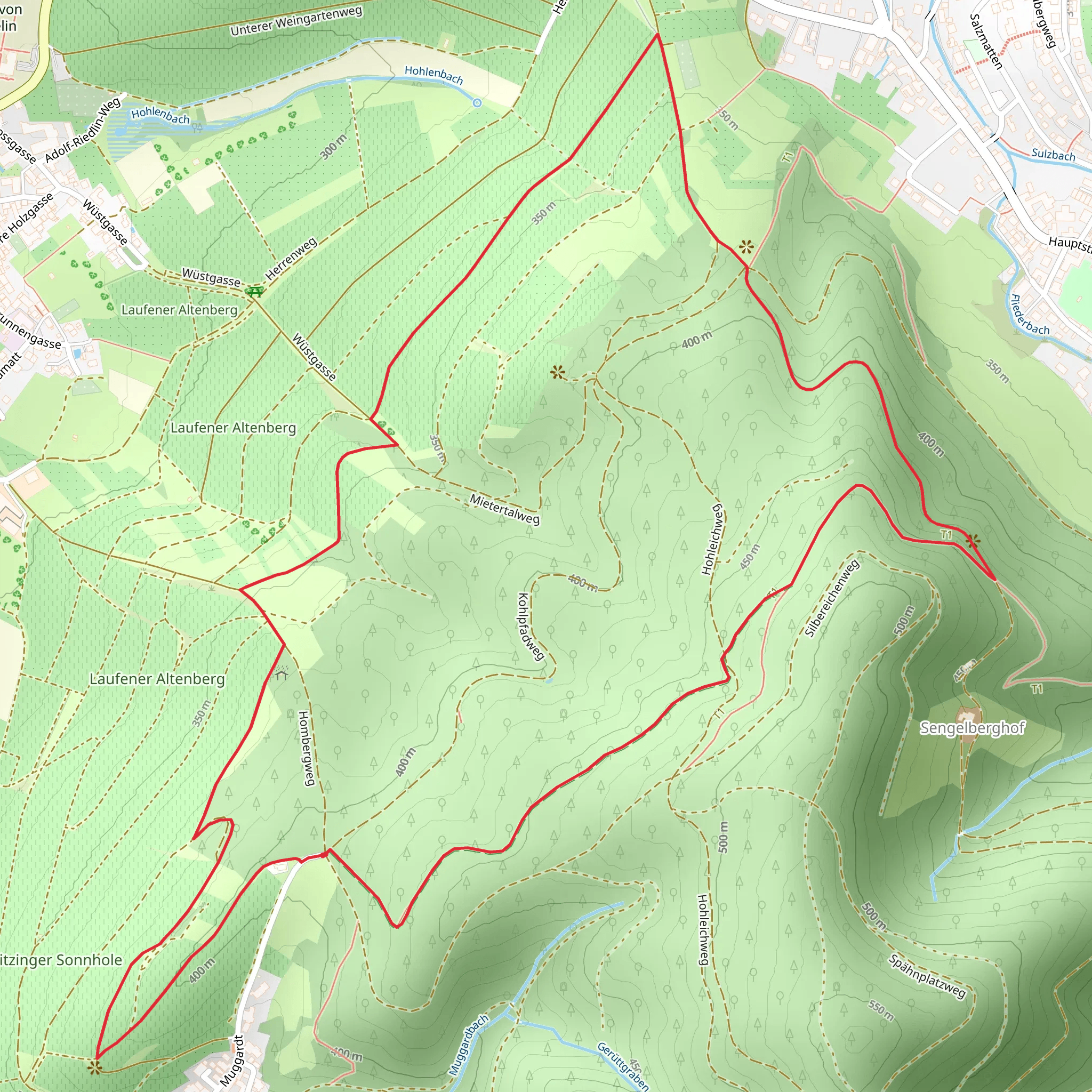 Homberg, Vorderwald and Freusig Loop mobile static map