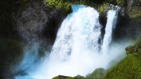 An image depicting the trail McKenzie River and Waterfalls Loop Trail and its surrounding area.