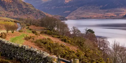 An image depicting the trail Lanthwaite Wood and Crummock Water Walk and its surrounding area.