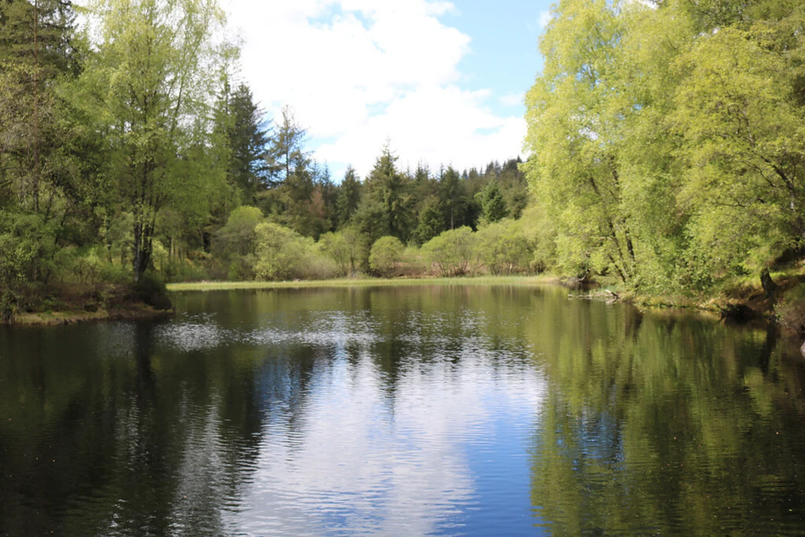 An image depicting the trail Larg Hill and Bruntis Loch Loop Trail and its surrounding area.