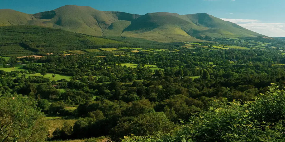 Lisvarrinane - Padraigs Loop