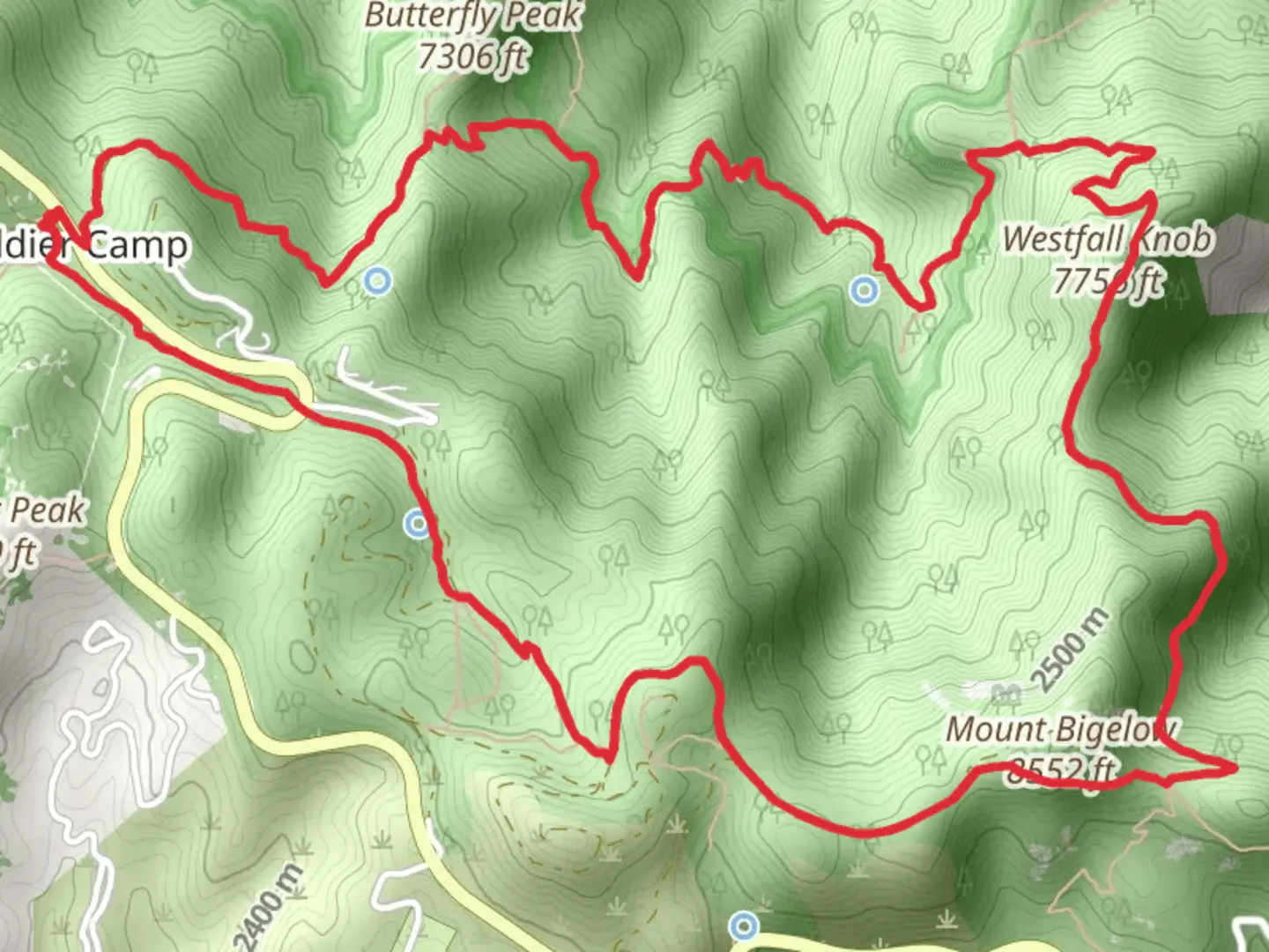 An image depicting the trail Sky Islands Traverse, Westfall Knob and Butterfly Trail LOop and its surrounding area.