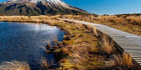 An image depicting the trail Mount Taranaki Track and its surrounding area.