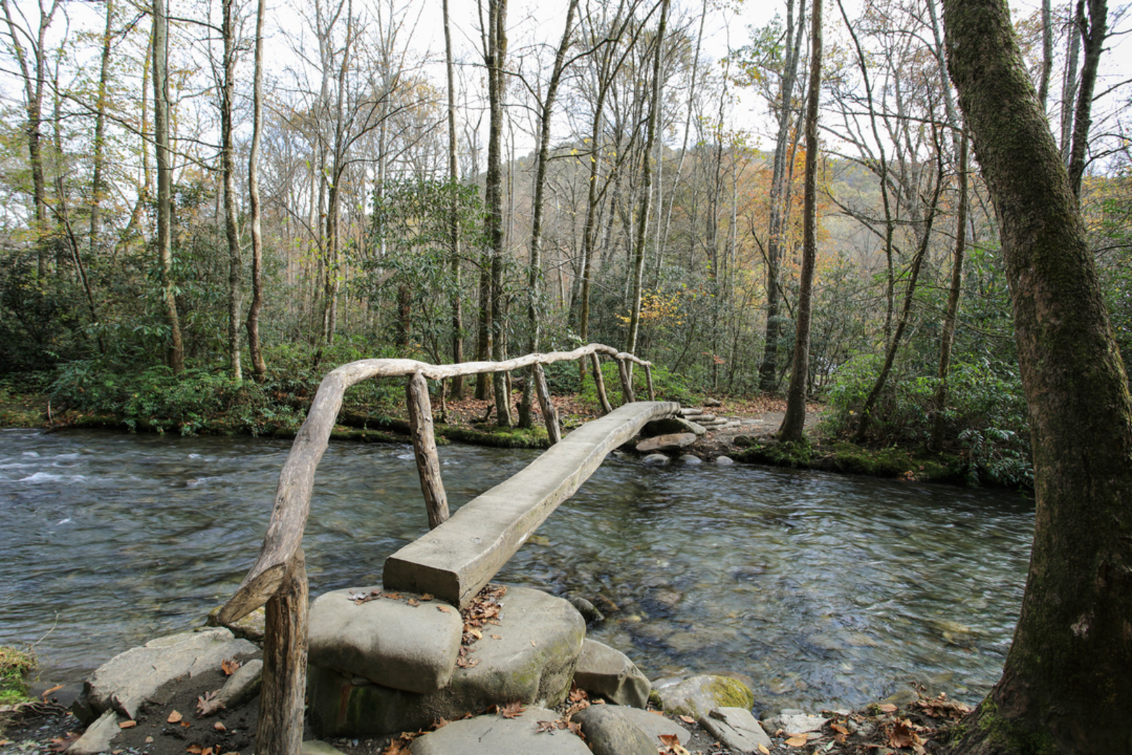 An image depicting the trail Bradley Fork Trail and its surrounding area.