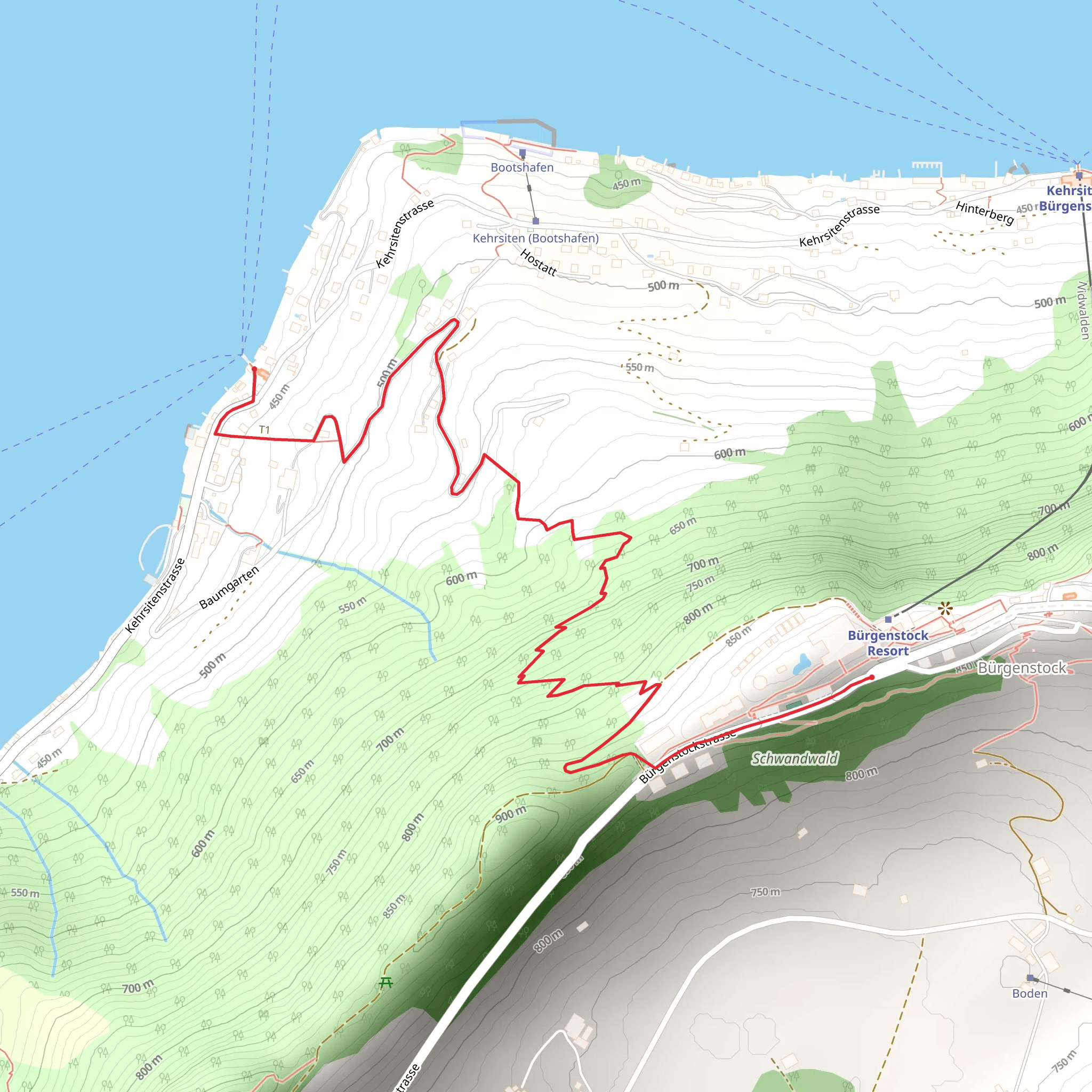 Bürgenstock mobile static map