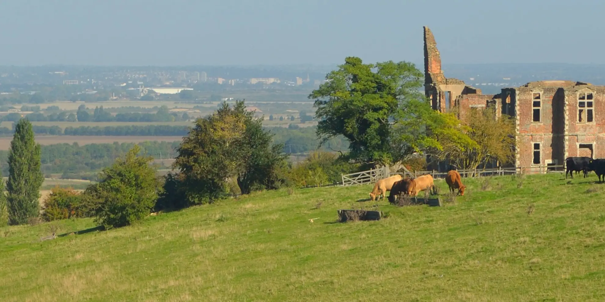 An image depicting the trail Marston Vale Trail and its surrounding area.