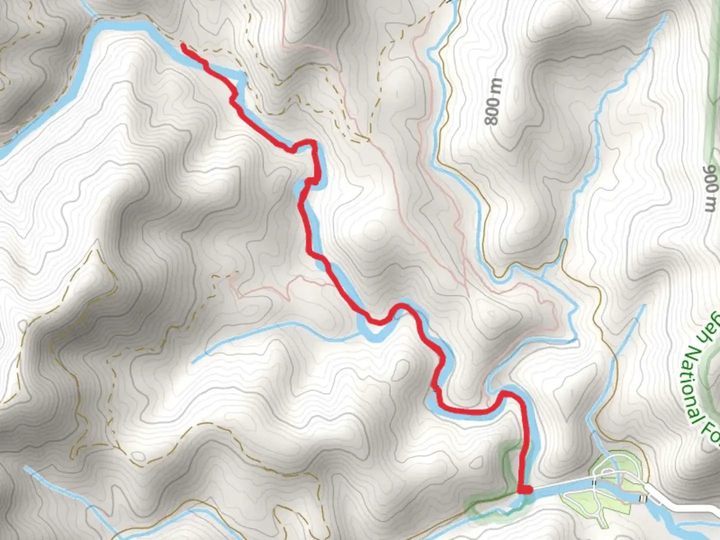 An image depicting the trail North Mills River Trail and its surrounding area.