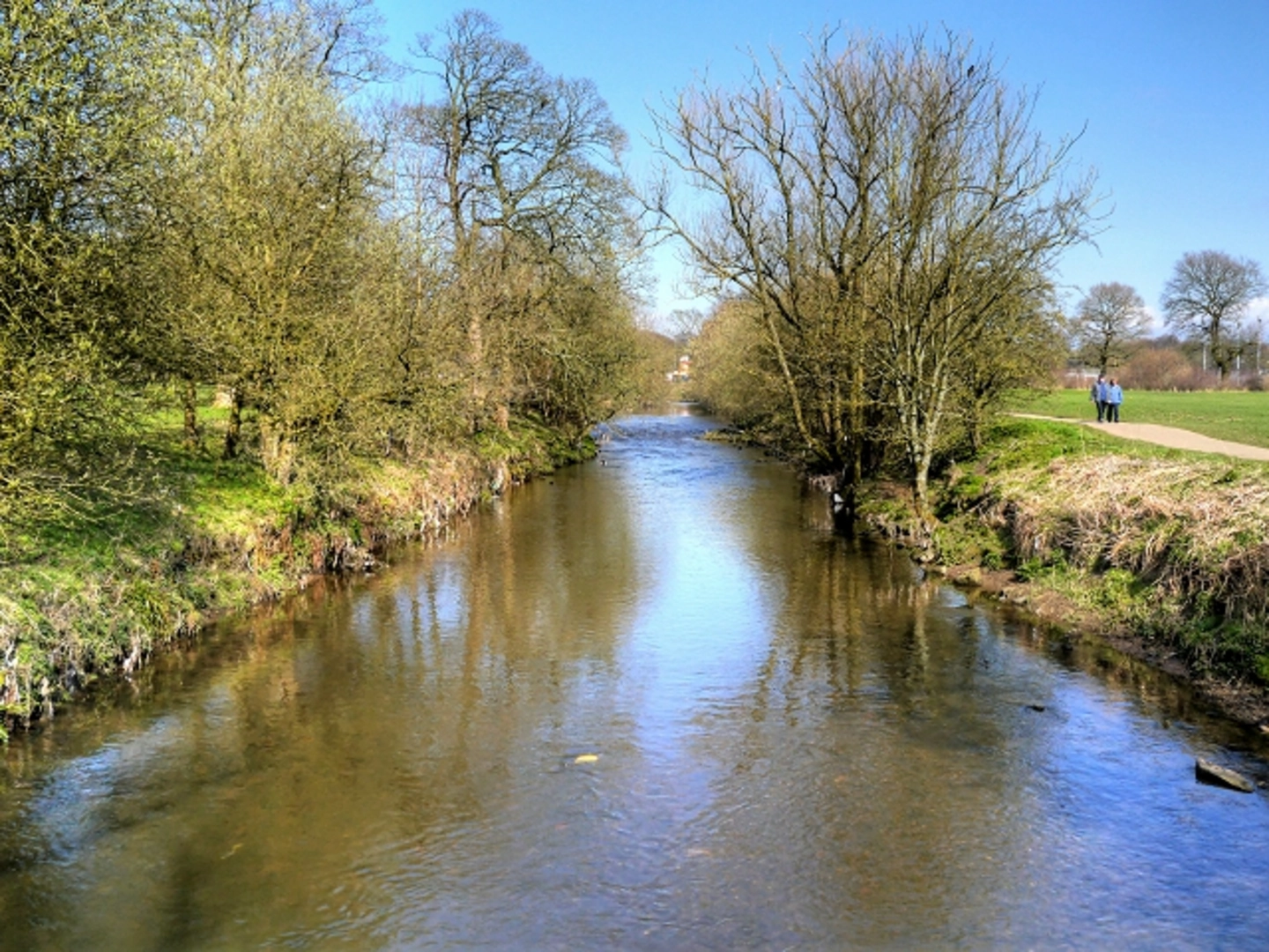 An image depicting the trail Warren Wood and Buncer Wood loop and its surrounding area.