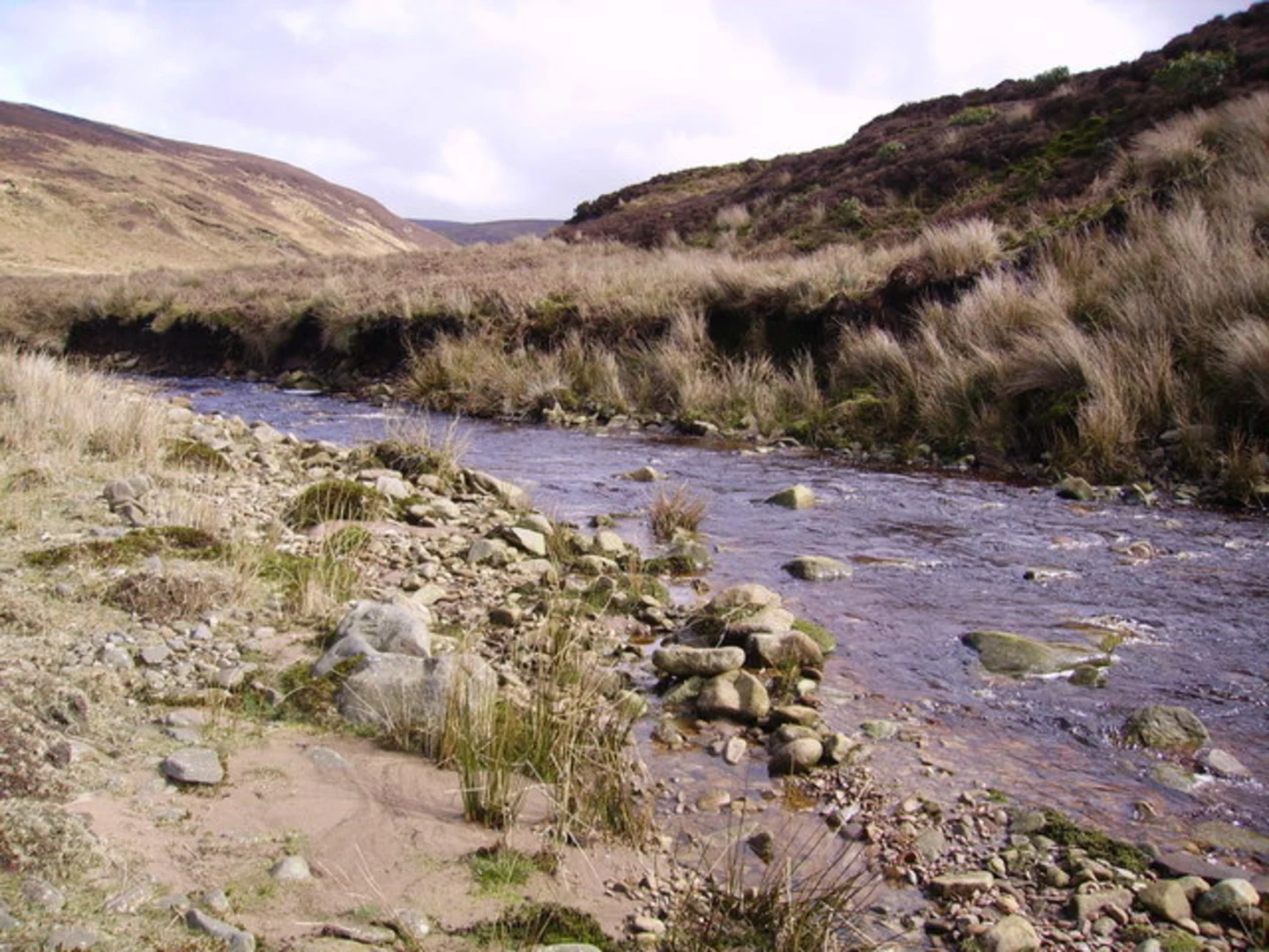 An image depicting the trail Garstang to Caldervale Loop and its surrounding area.