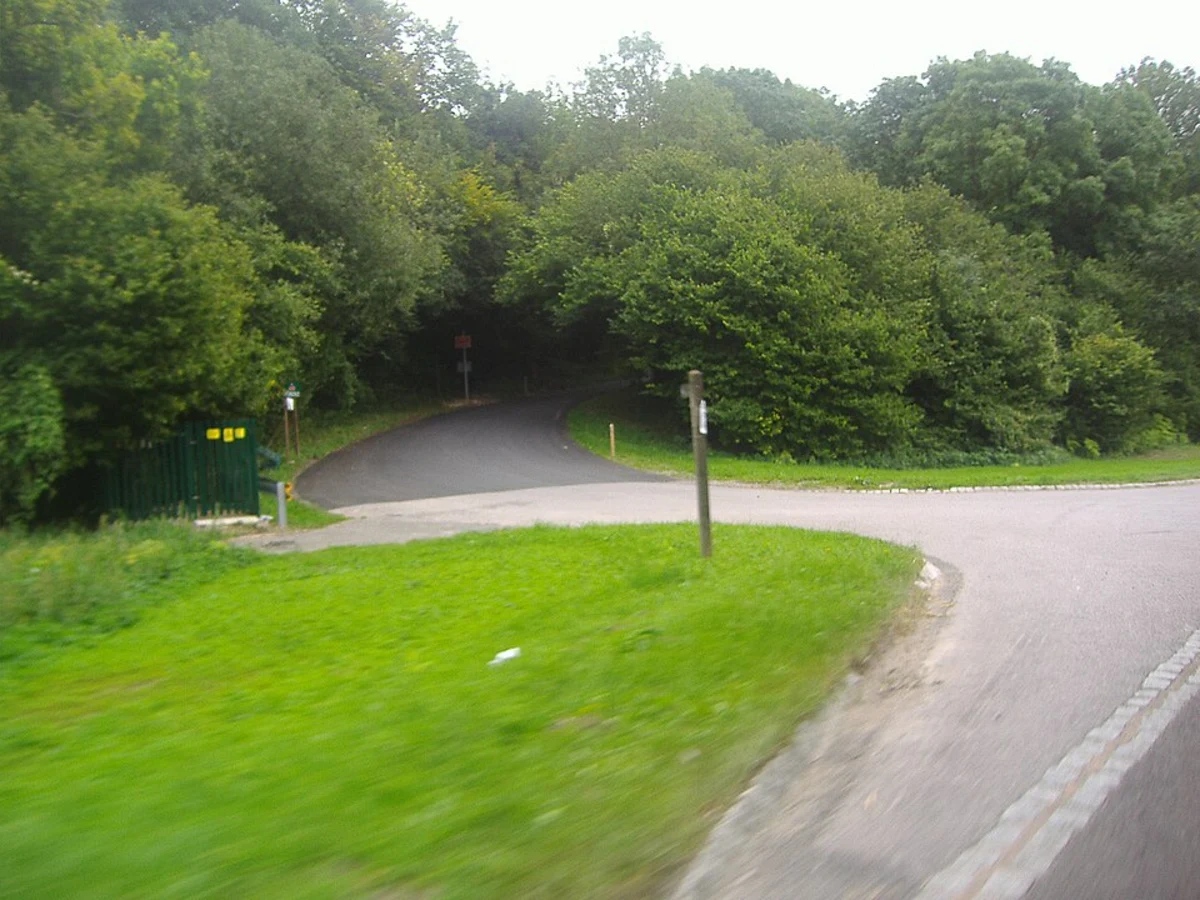 Nightingale Woods Loop