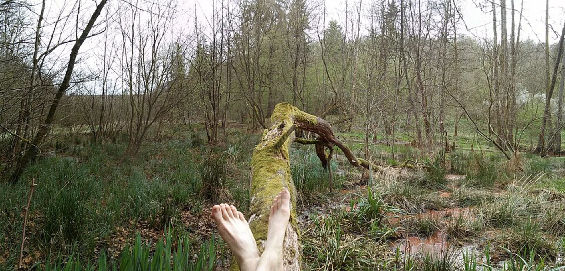 An image depicting the trail Rosenweiher and Hottenbachweiher via Wilder Netzbachpfad and its surrounding area.