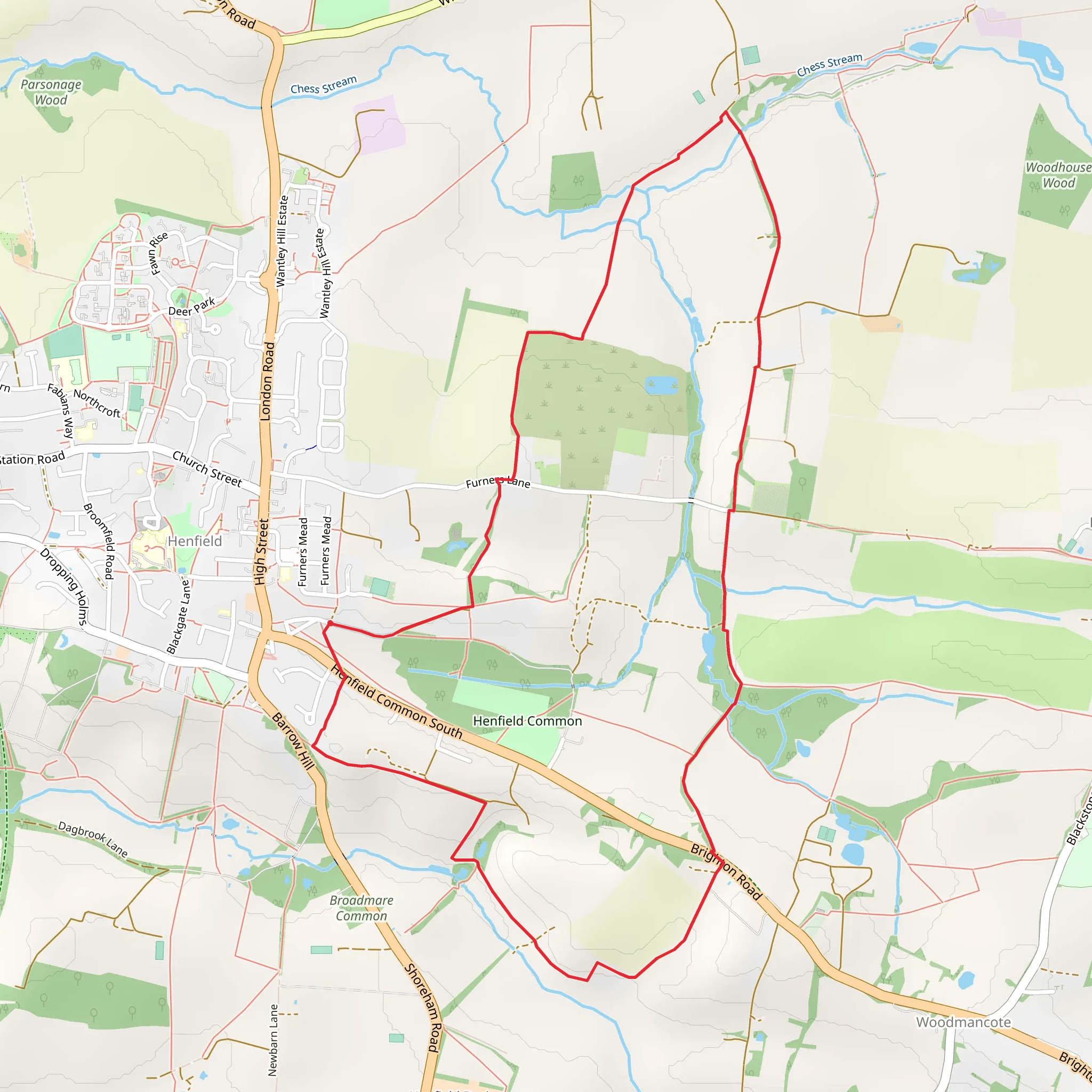 Henfield Common mobile static map