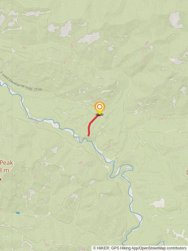 Lower SF Skokomish 120 Access Trail mobile static map