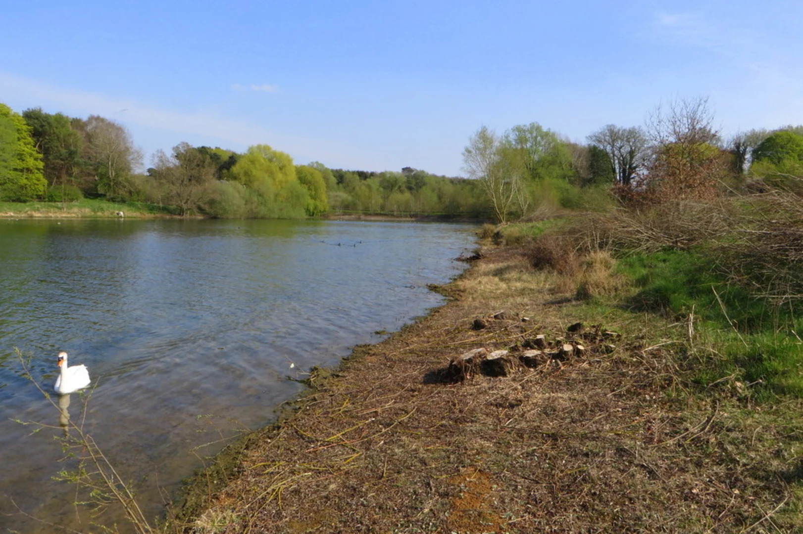 An image depicting the trail Pitsford Reservoir Loop and its surrounding area.