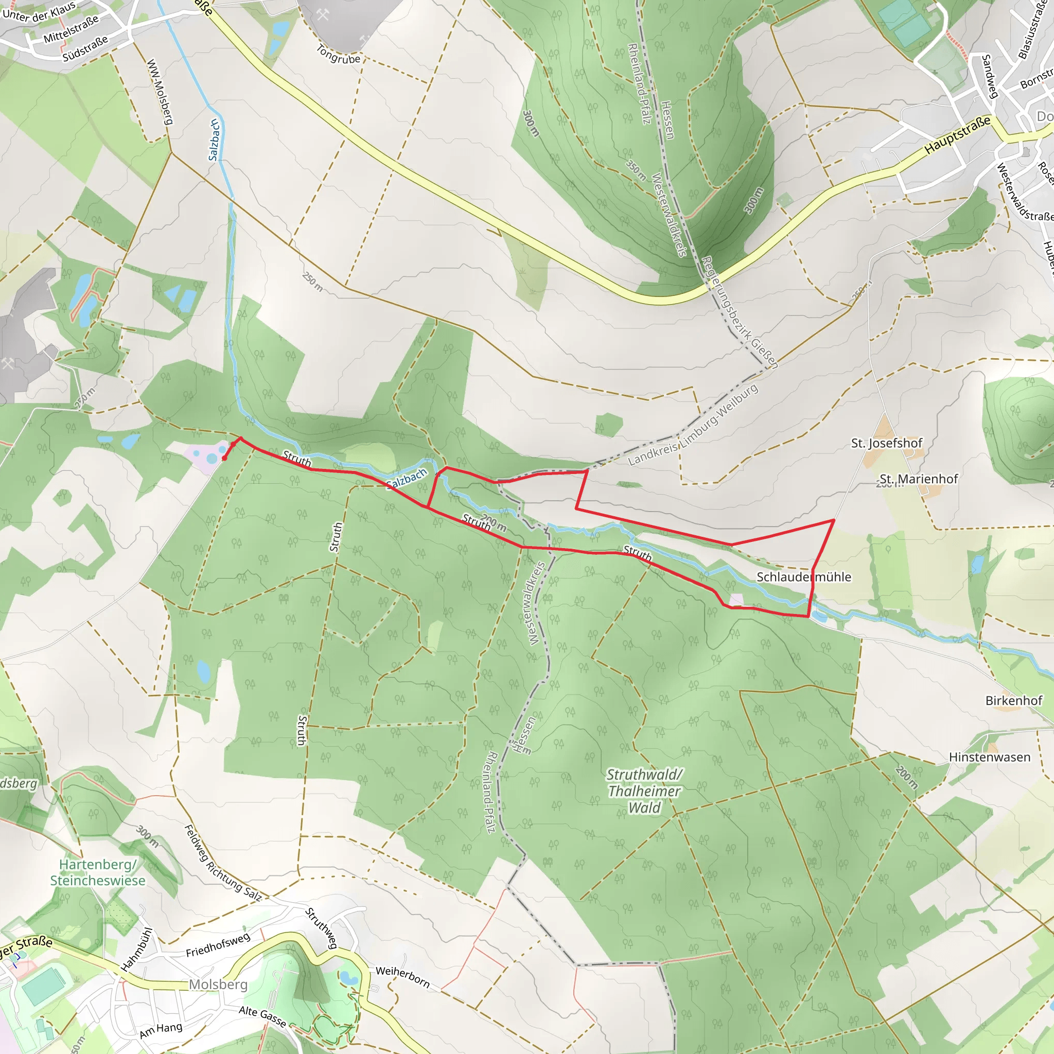 Schlaudermuhle Loop mobile static map