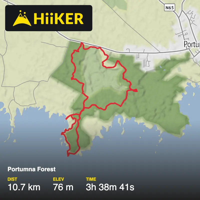 A map preview of the recording Portumna Forest .