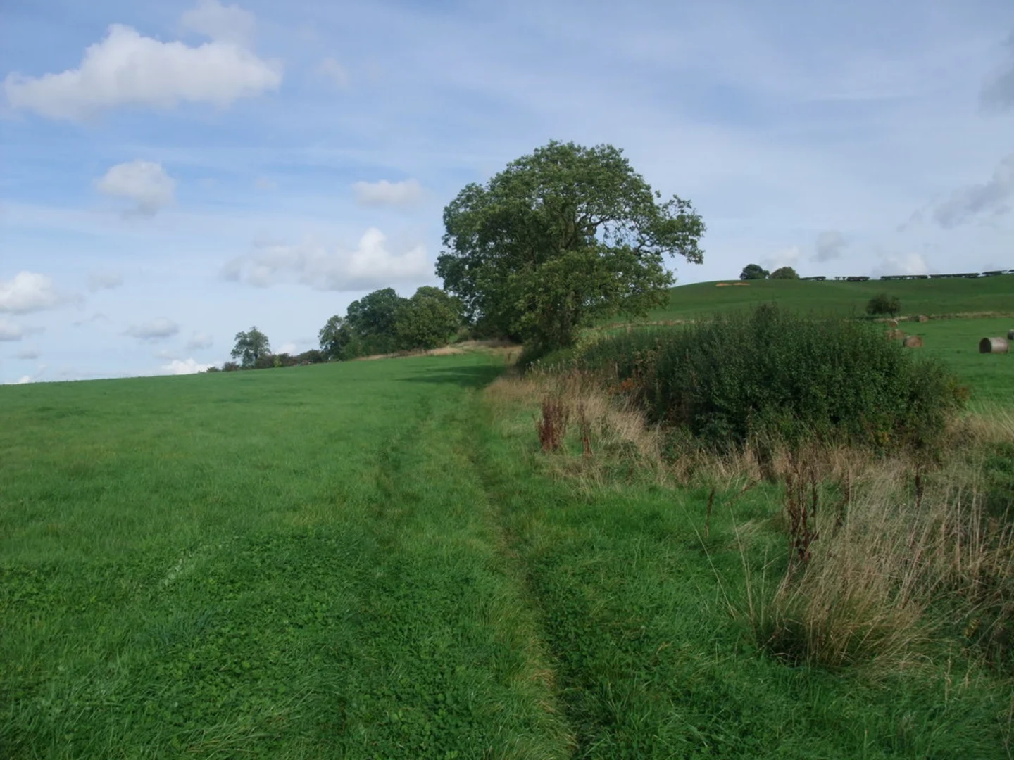 An image depicting the trail Fen Ditton Park via Low Fen Drove Way and its surrounding area.