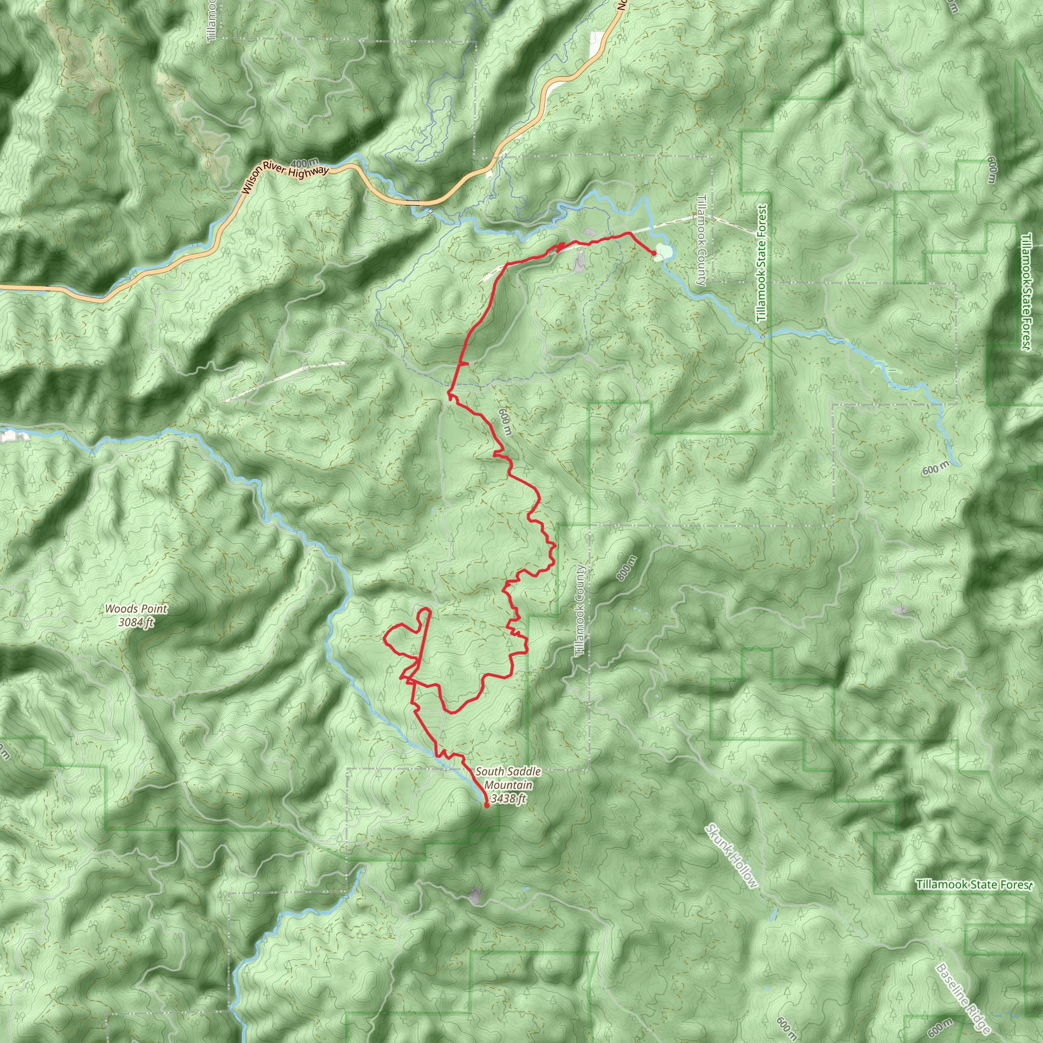 Cedar Tree, Fire Break Five and South Fork Wilson River mobile static map