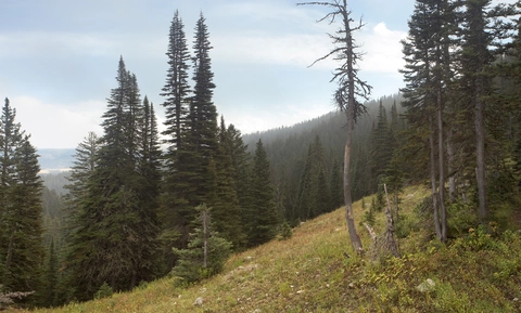An image depicting the trail Felix Canyon Trail and its surrounding area.