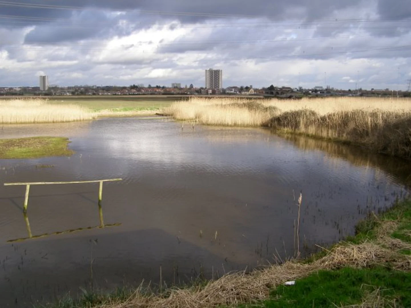 An image depicting the trail Lower Test Nature Reserve via Test Boardwalk and its surrounding area.