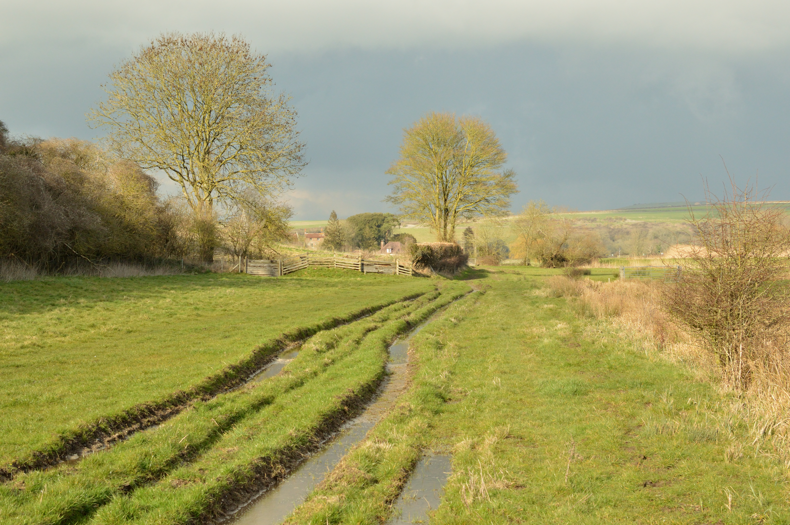 An image depicting the trail Swan's Way and its surrounding area.