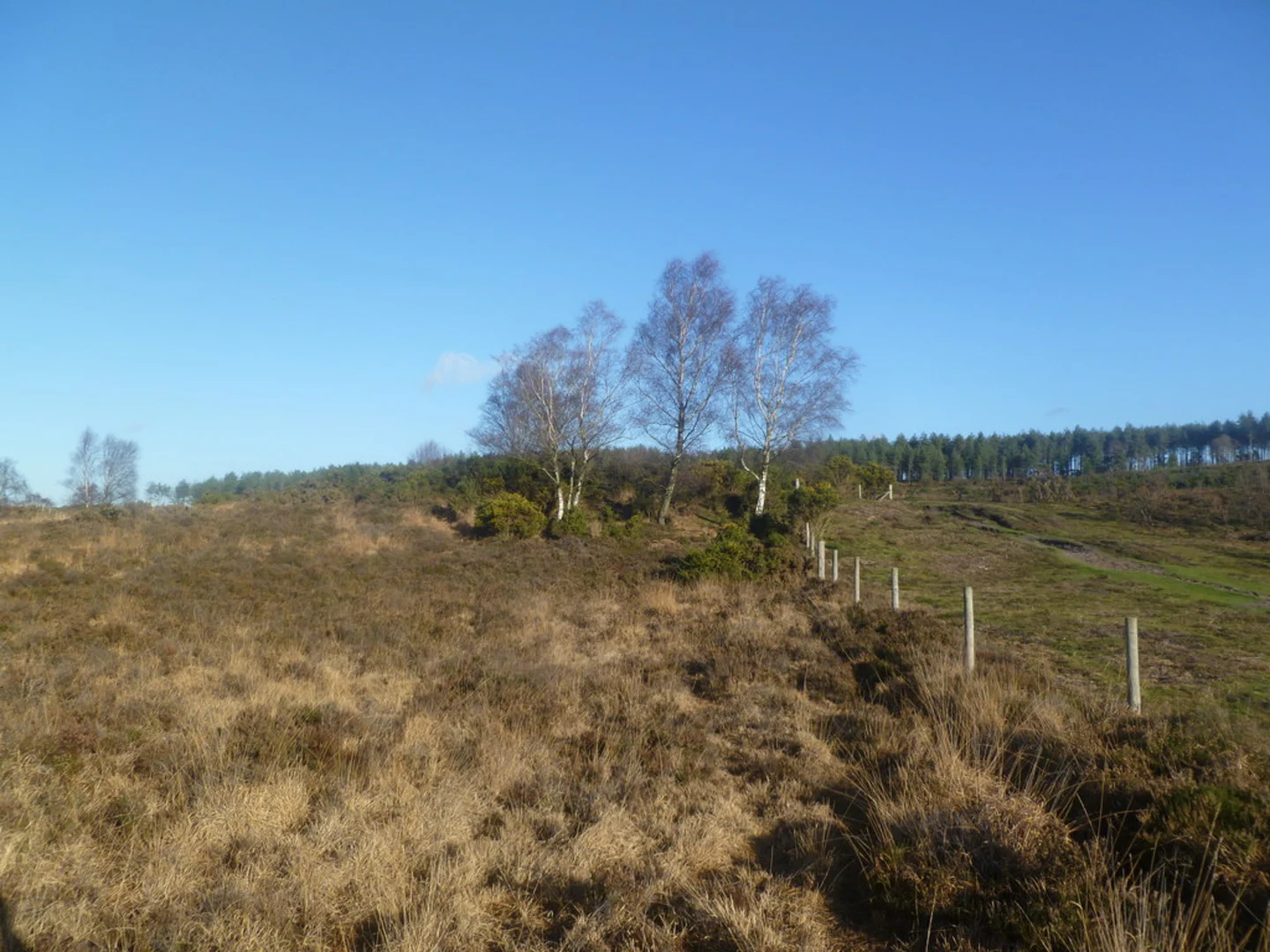 An image depicting the trail Dur Hill Inclosure Loop and its surrounding area.