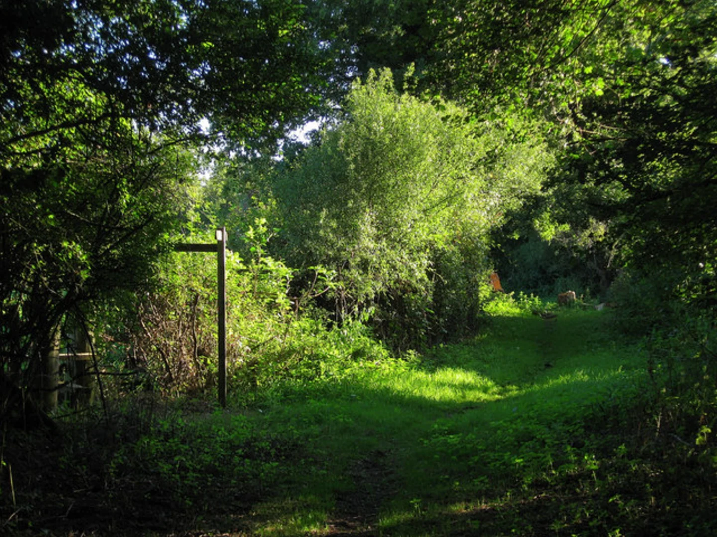 An image depicting the trail River Adur and Buckhatch Lane Walk and its surrounding area.