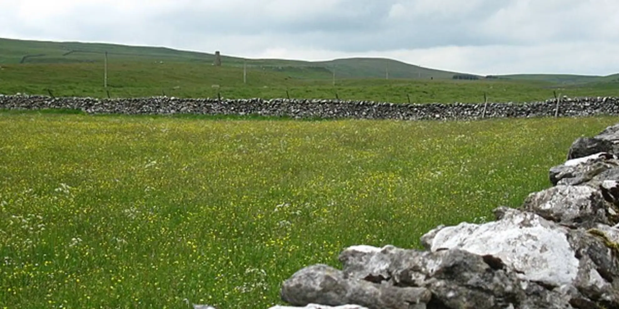 An image depicting the trail Bordley Hall and Malham Moor and its surrounding area.