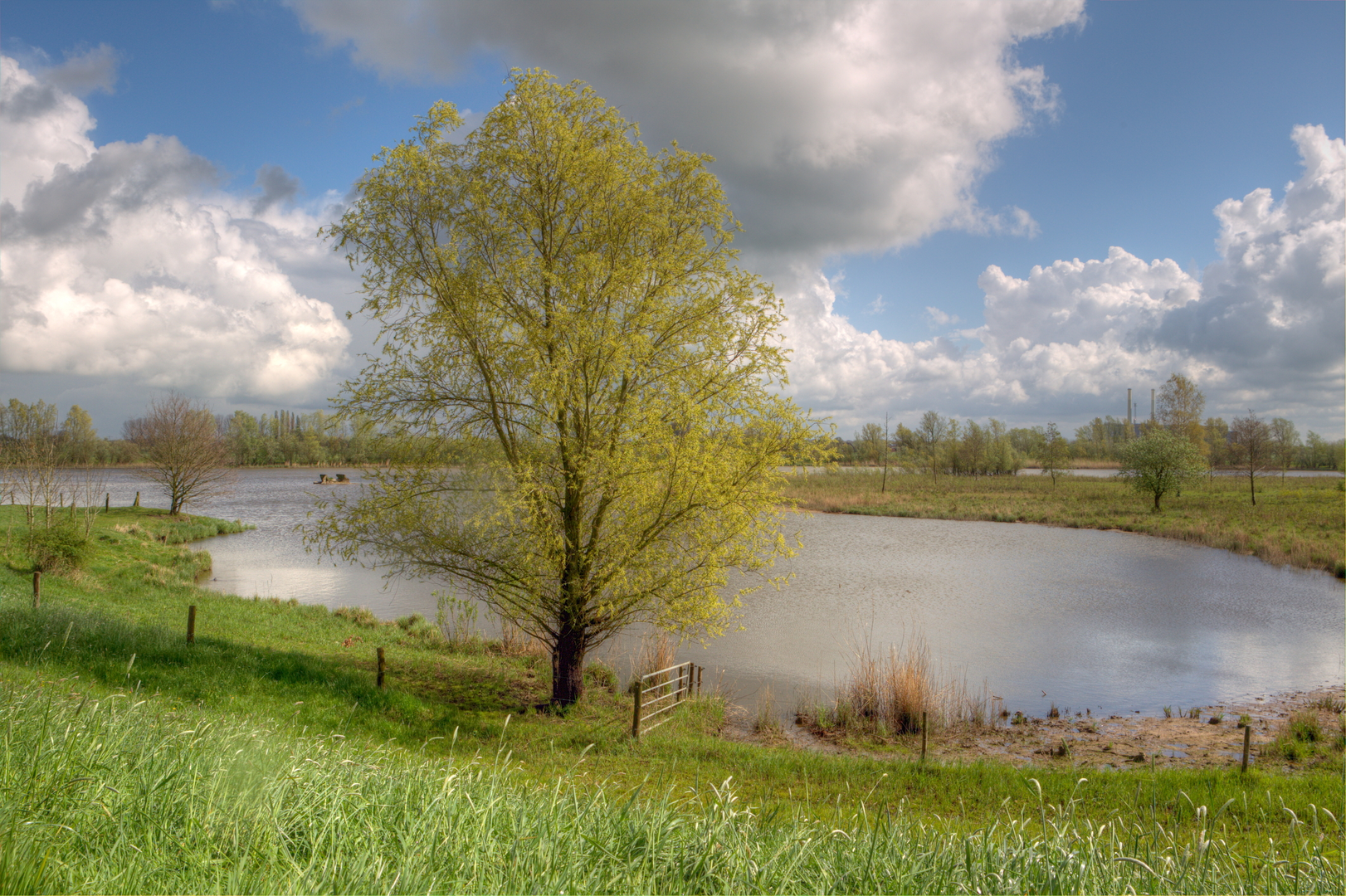 An image depicting the trail Ruitenborgh Weg and Vechtdalpad Loop and its surrounding area.