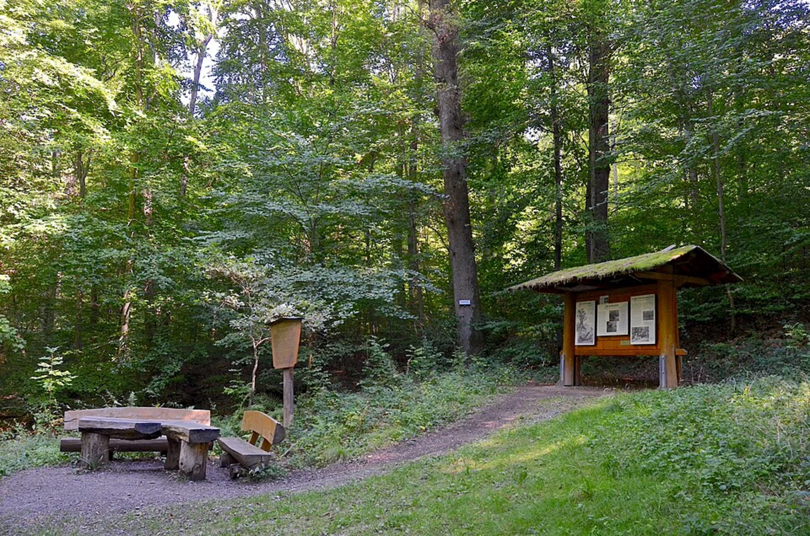 An image depicting the trail Burgfelsen, Stephansaturm and Paddelweiher Loop and its surrounding area.