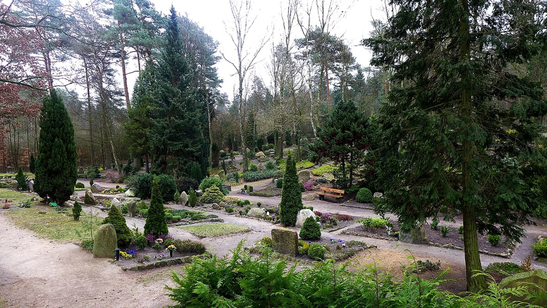 An image depicting the trail Bestattungswald Hambörn Loop and its surrounding area.