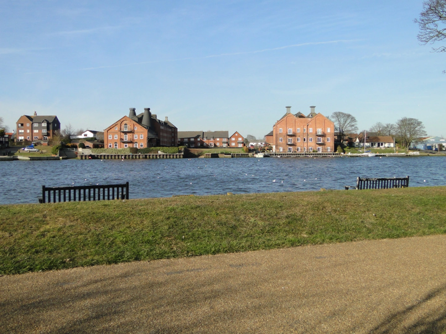 An image depicting the trail South Walsham Broad and Malthouse Broad Loop and its surrounding area.