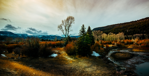 An image depicting the trail Tobacco Lake Trail and its surrounding area.