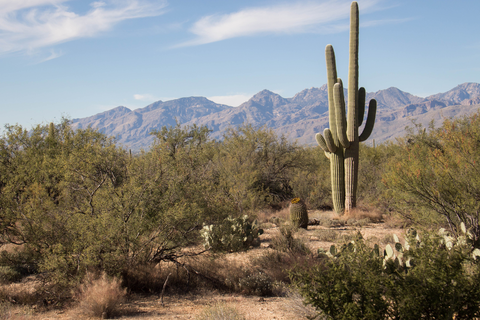 An image depicting the trail Loma Verde and Squeeze Pen Loop Trail and its surrounding area.