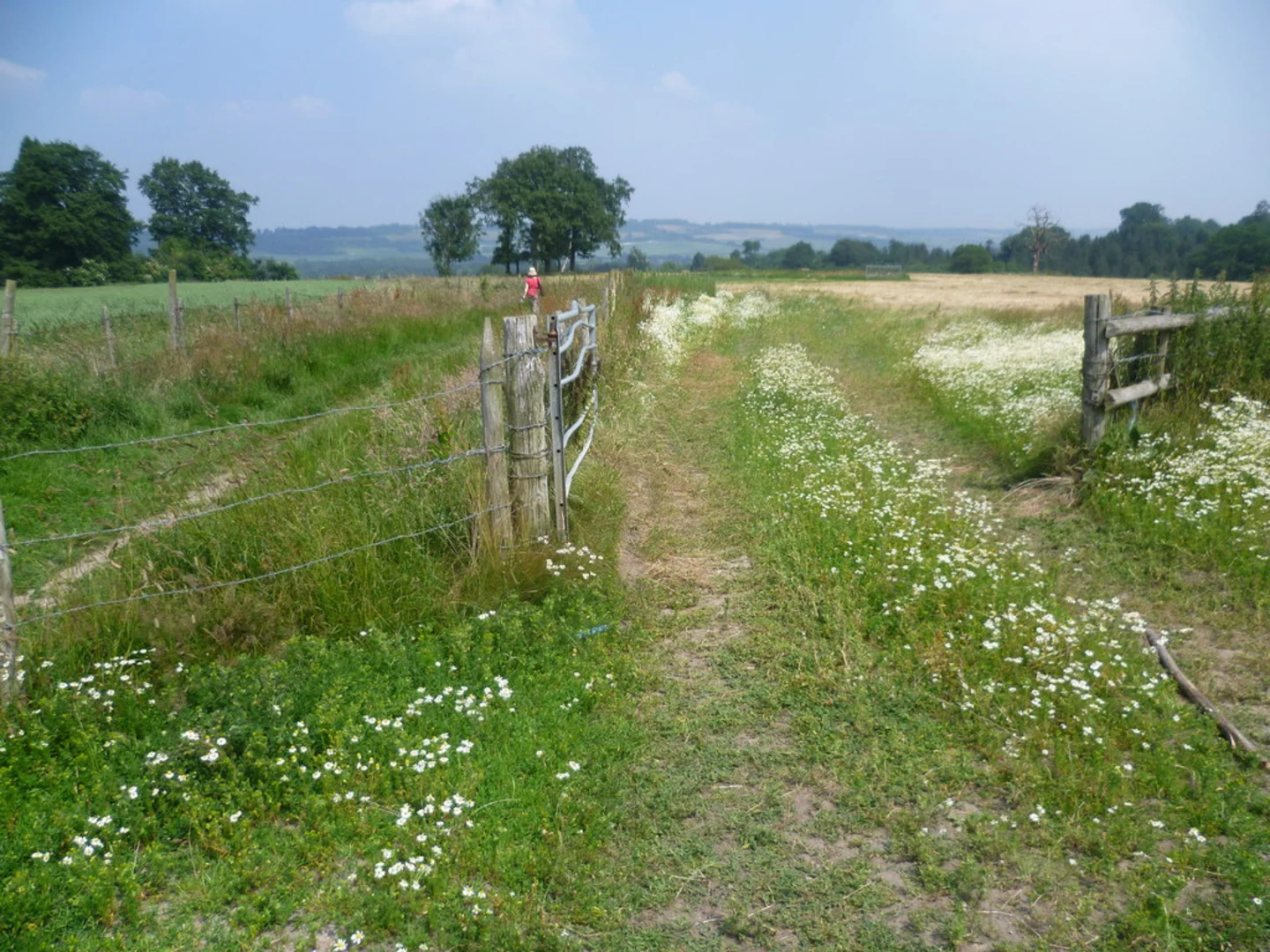 An image depicting the trail Squerryes Park and Chartwell Loop and its surrounding area.