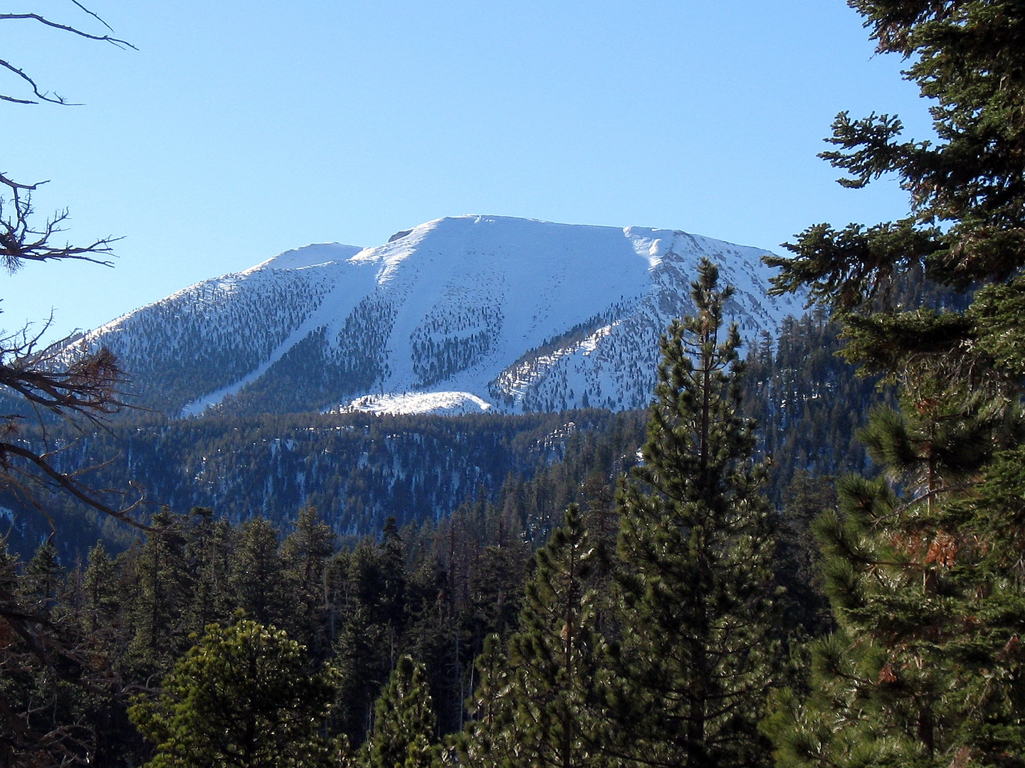 An image depicting the trail Poopout Hill and Dry Lake via South Fork Trail and its surrounding area.