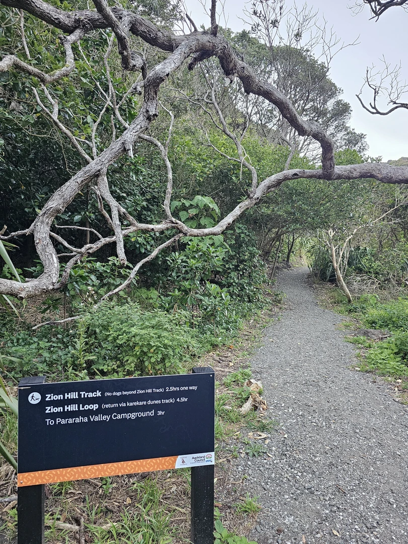 An image depicting the trail Zion Hill Loop and its surrounding area.