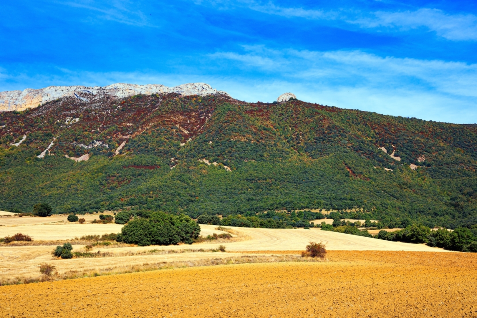 An image depicting the trail Tour of Urkizu PR GI 114 and its surrounding area.