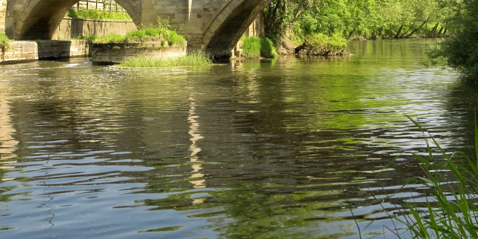 An image depicting the trail Buttercrambe and Youlthorpe from Stamford Bridge and its surrounding area.