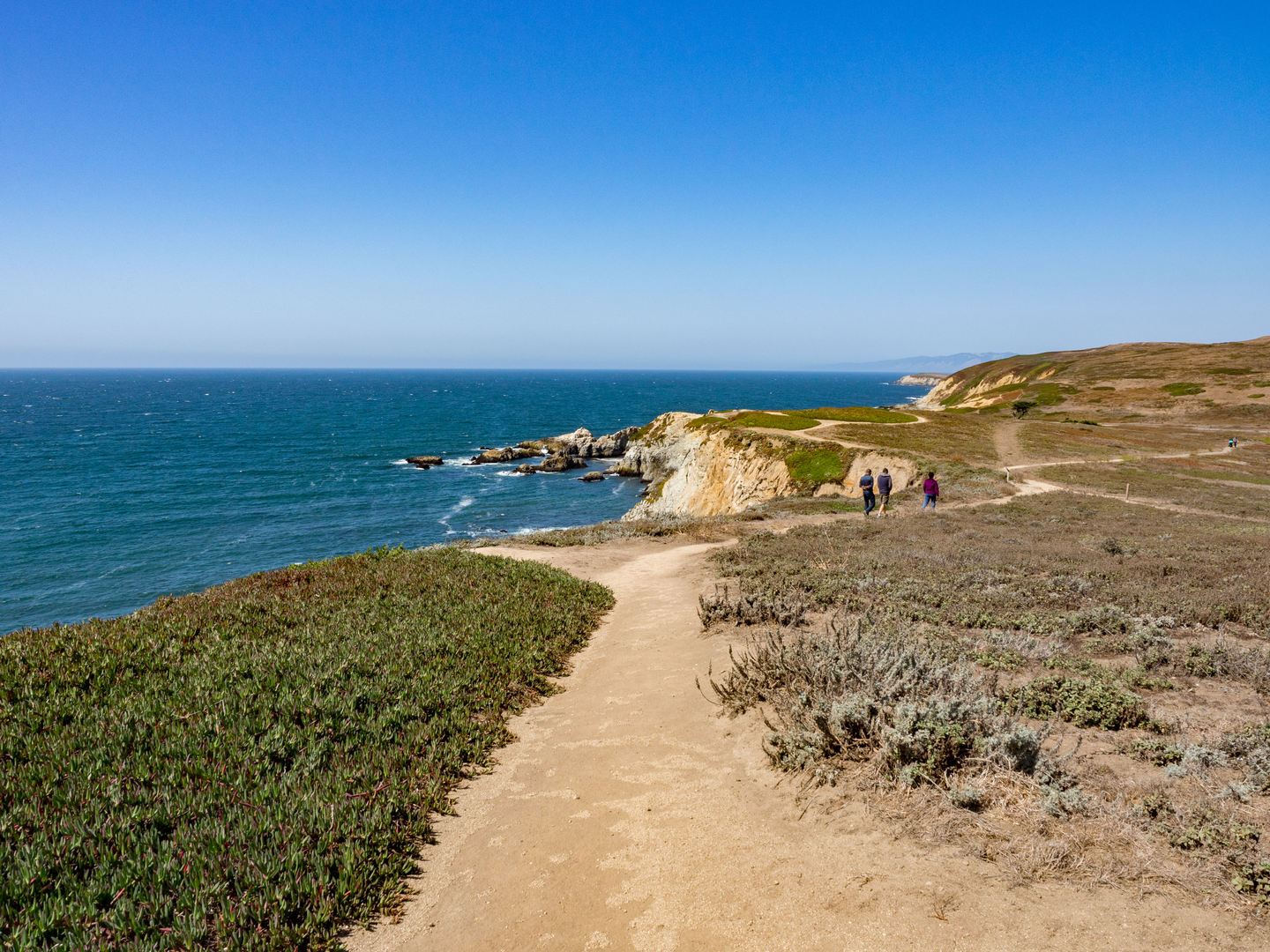 An image depicting the trail Bodega Head via Salmon Creek Beach Trail and its surrounding area.
