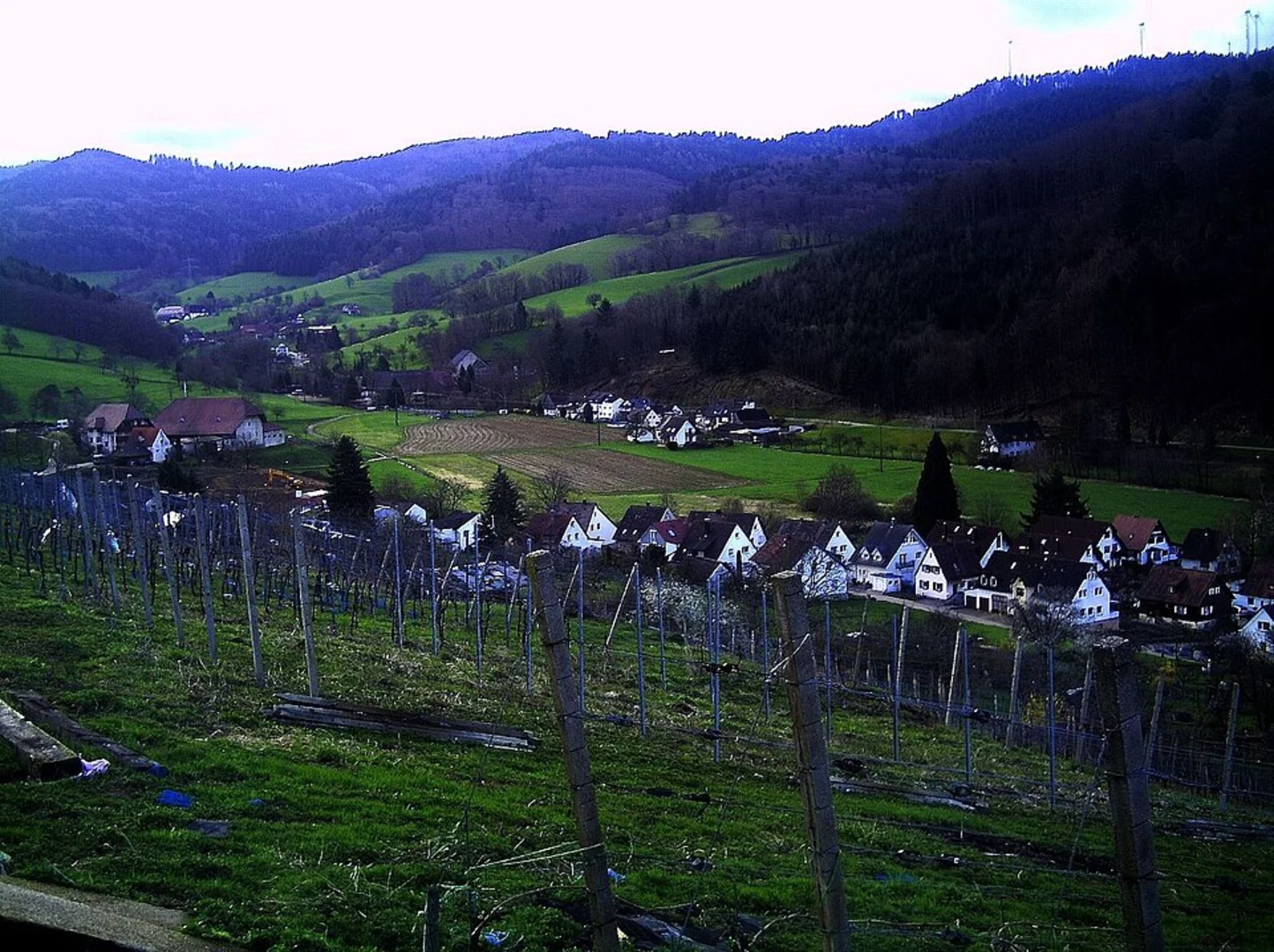 An image depicting the trail Honigbuck via Seeweg and Neuweg and its surrounding area.