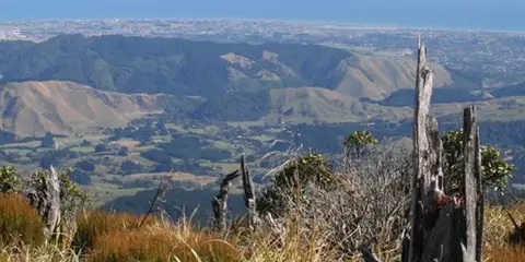 An image depicting the trail Kapakapanui Track and its surrounding area.