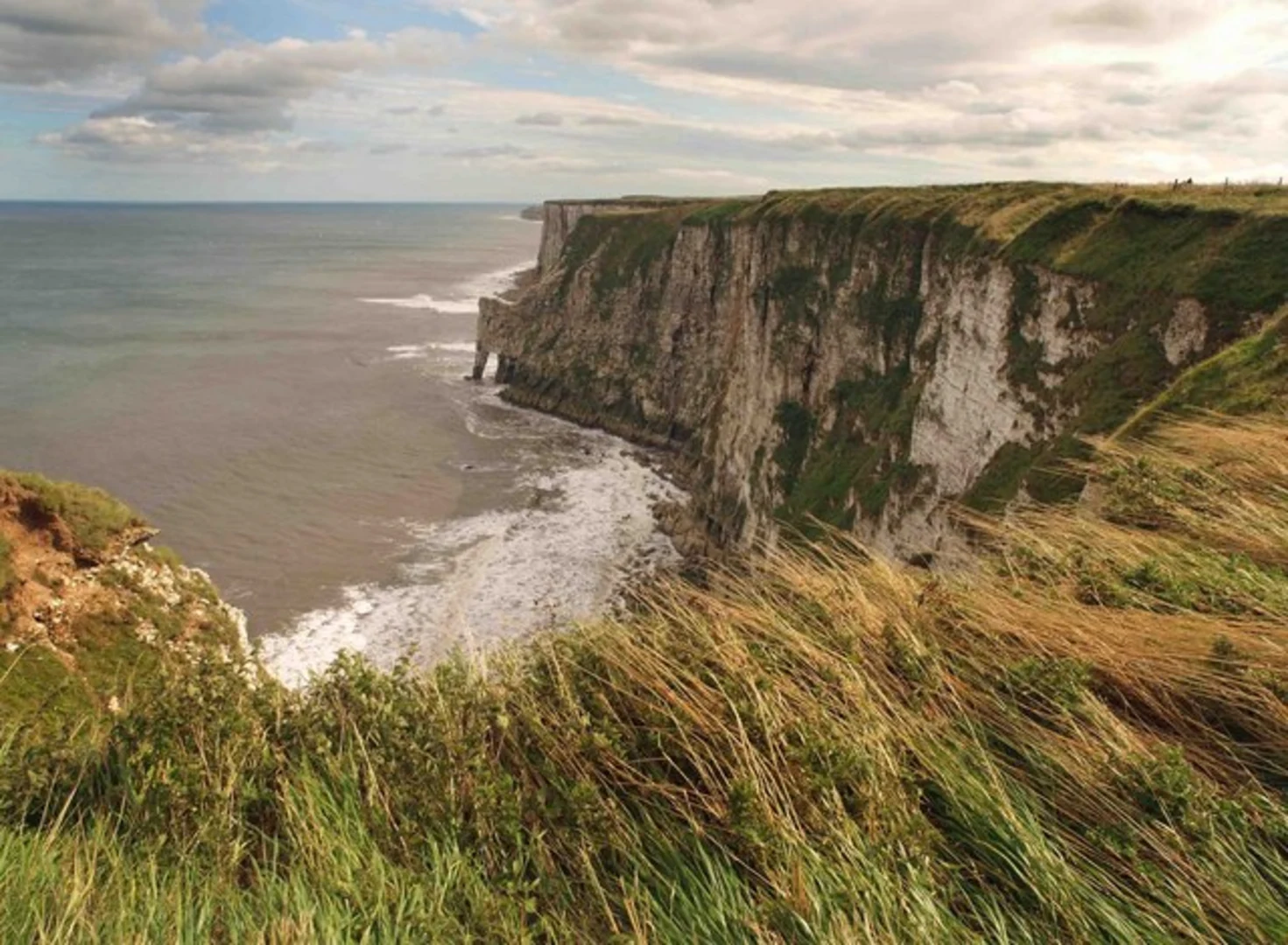 An image depicting the trail RSPB Bempton Cliffs to Flamborough Outer Headlands Nature Reserve and its surrounding area.