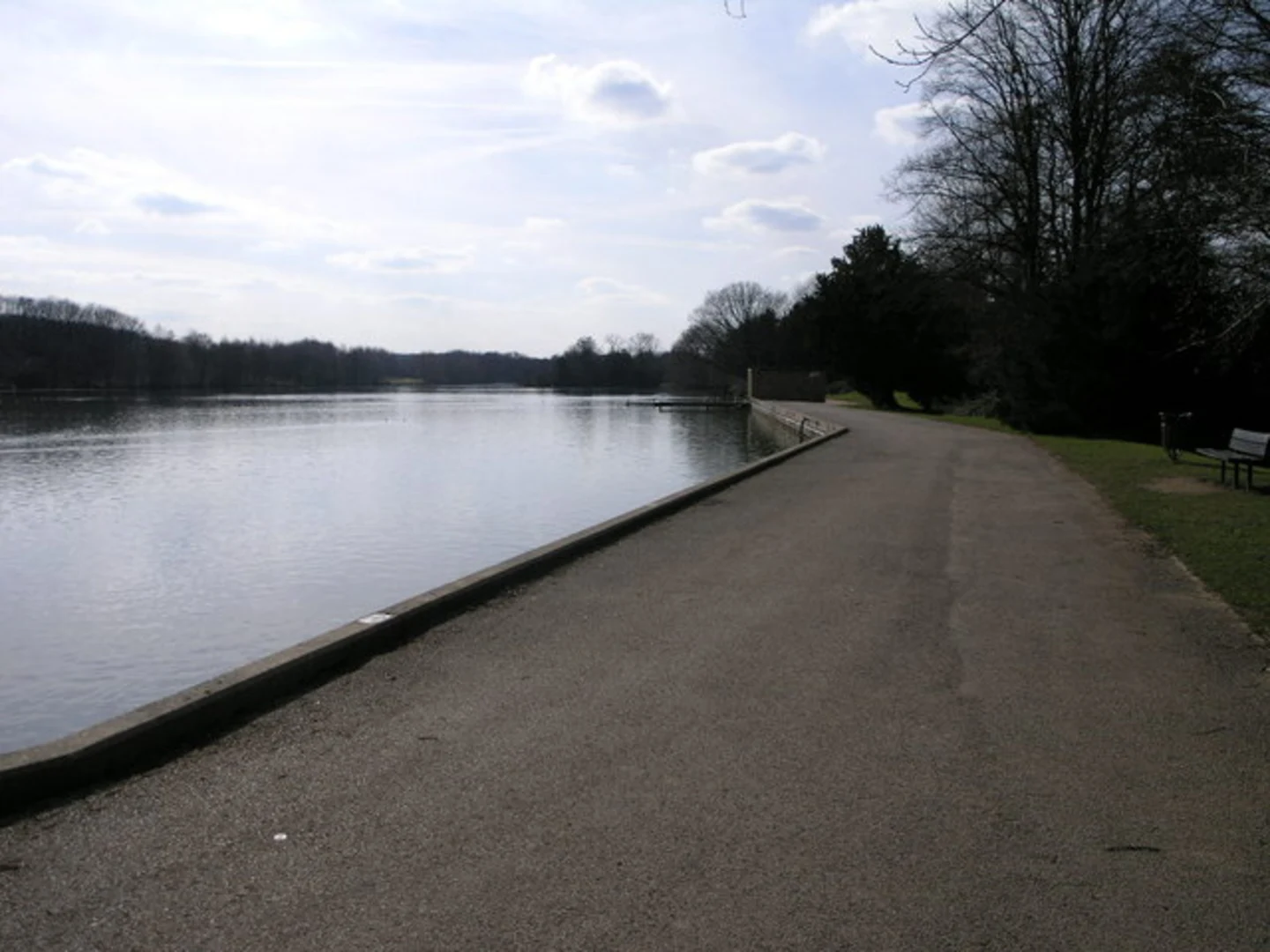 An image depicting the trail Langold Lake Loop and its surrounding area.