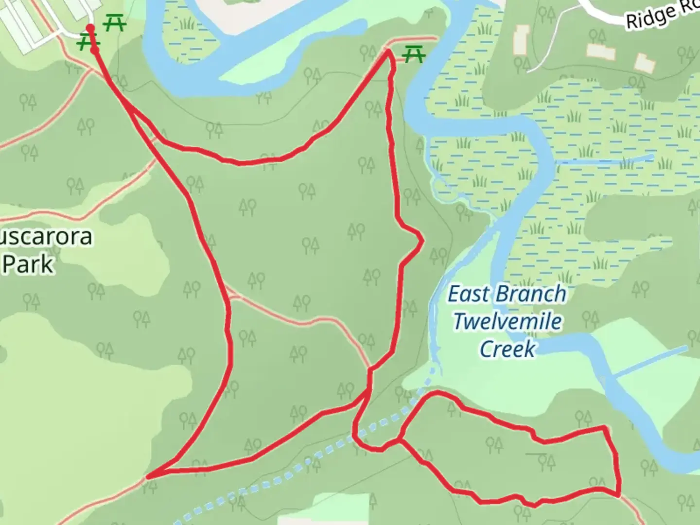 An image depicting the trail East Branch Twelvemile Creek Loop and its surrounding area.