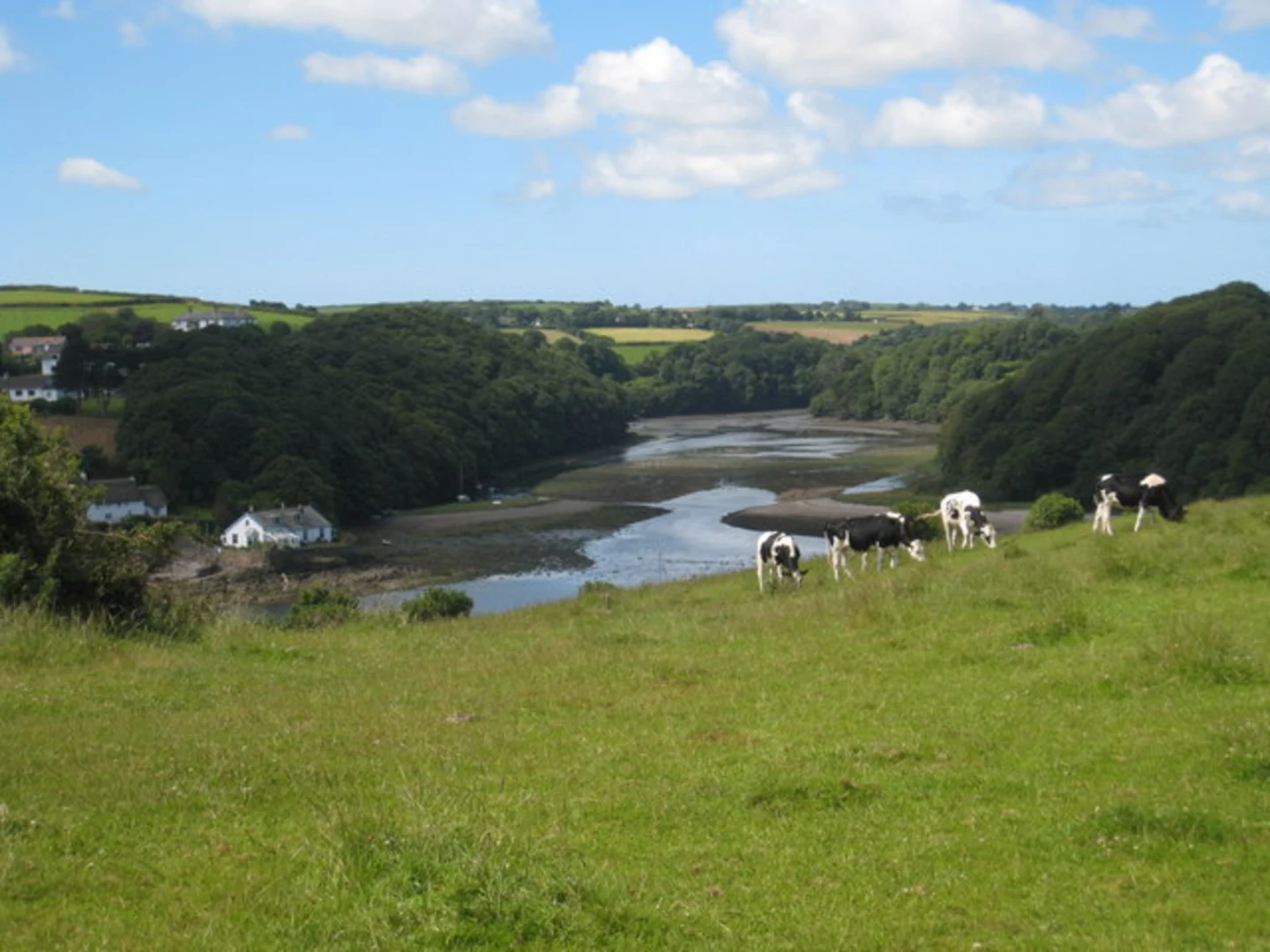 An image depicting the trail Dennis Head and its surrounding area.