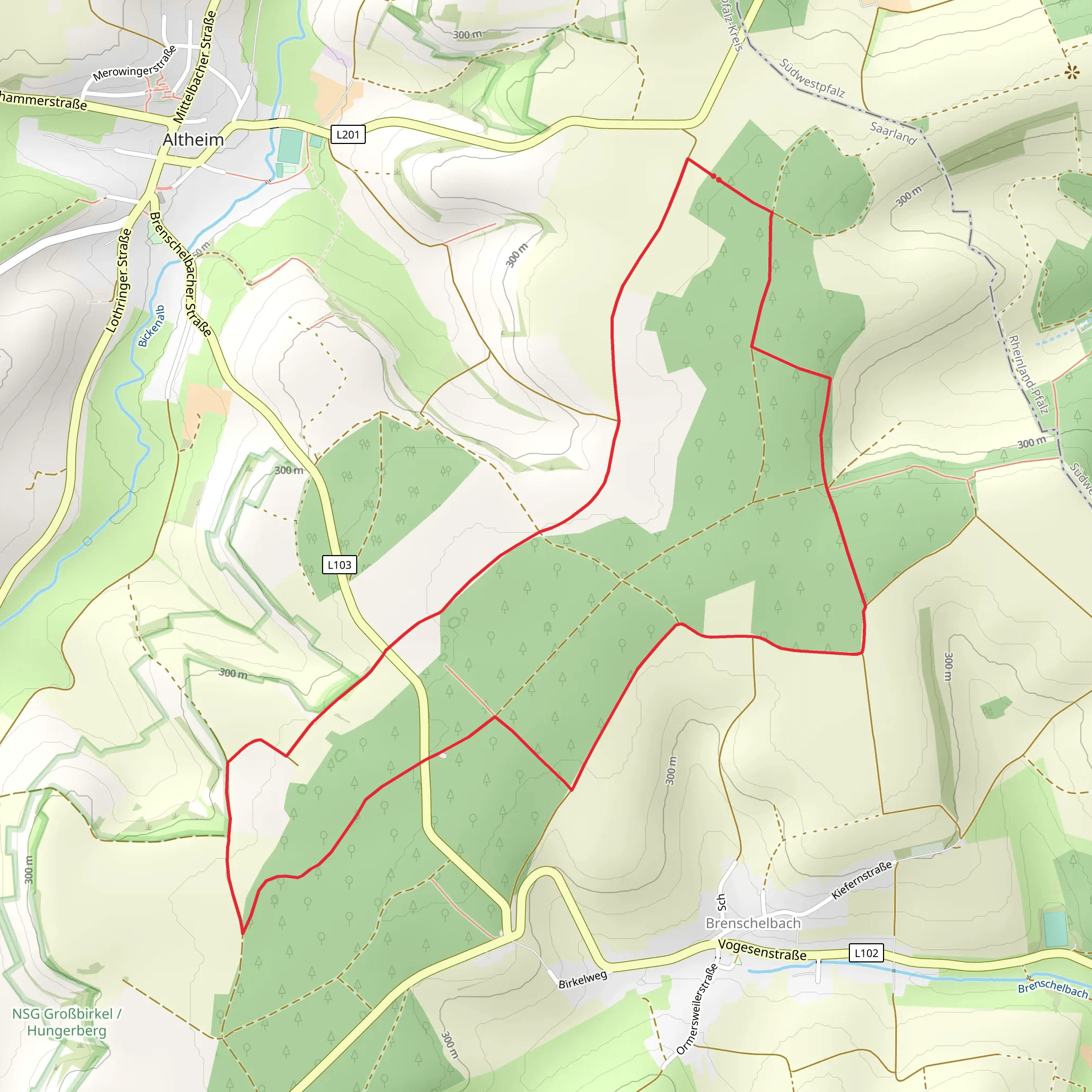 Großer Wald and Nasser Wald Loop - Brenschelbach mobile static map